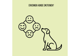 Erkennen Hunde menschliche Emotionen?