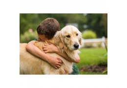 Hund und Kinder - Eine positive Beziehung